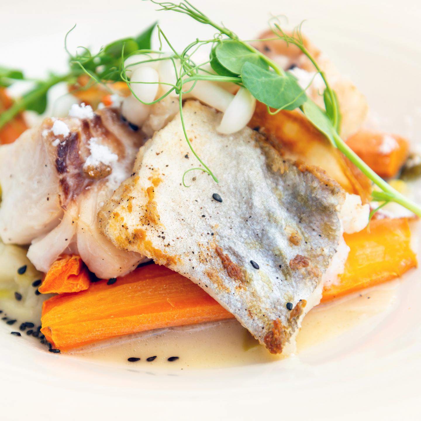 close-up-fish-served-plate